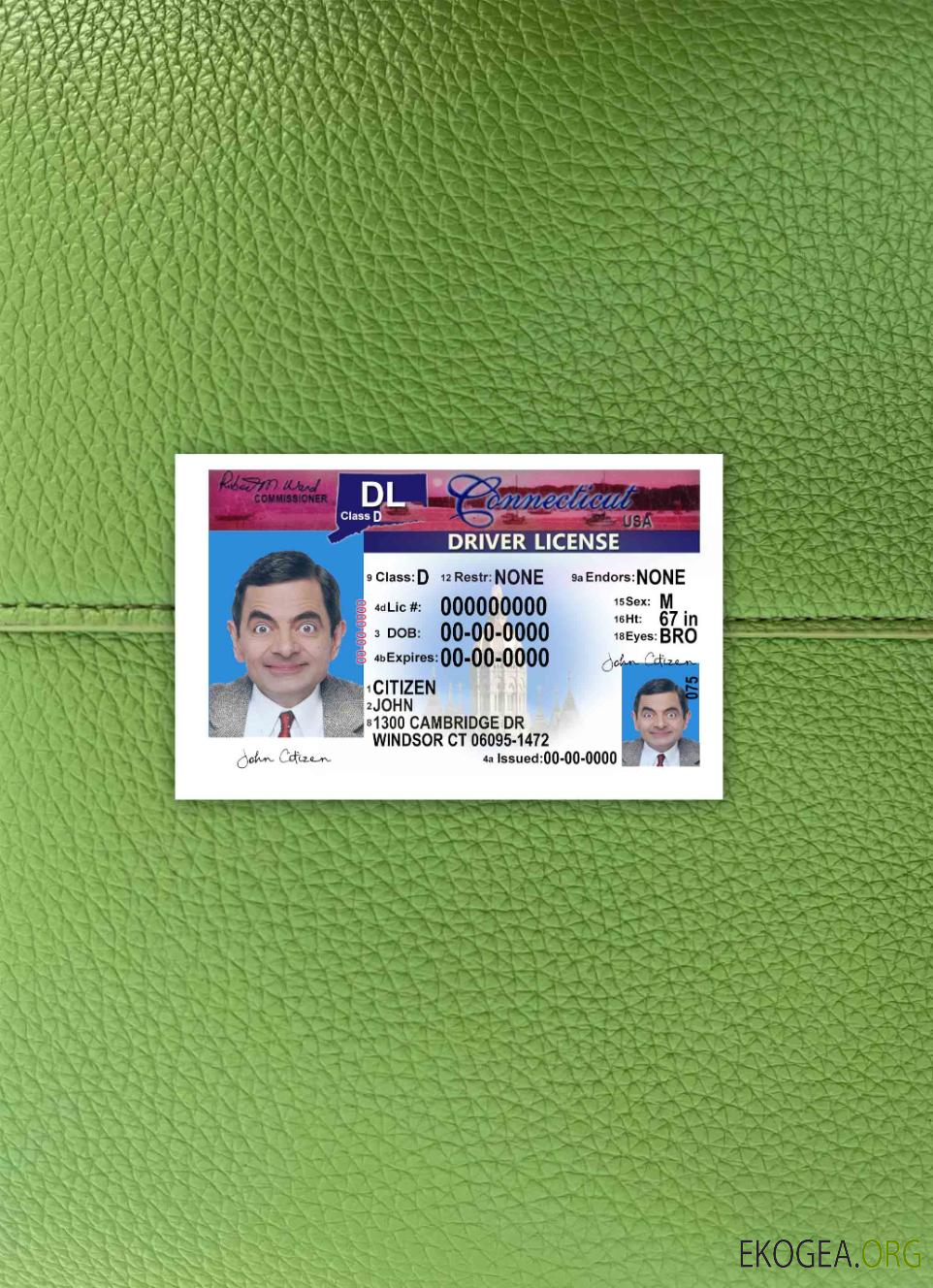 Permis de conduire USA Connecticut version 2 photolook AVANT